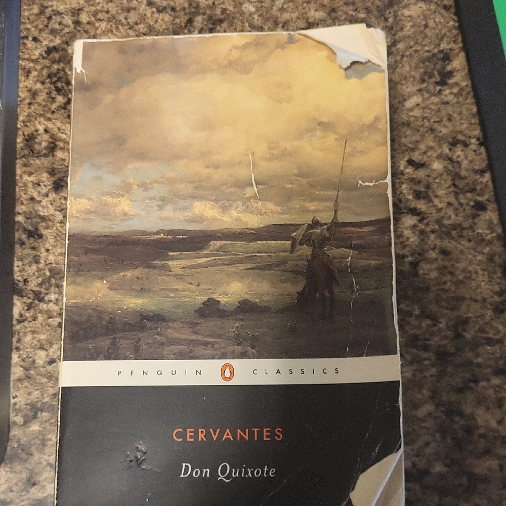 Don Quixote Book